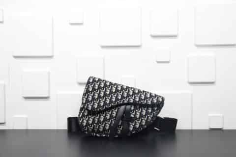 莆田鞋厂家货源前10名- Dior saddle马鞍包 homme Pre-Fall