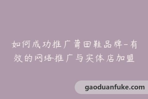 如何成功推广莆田鞋品牌-有效的网络推广与实体店加盟