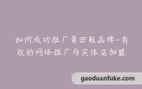 如何成功推广莆田鞋品牌-有效的网络推广与实体店加盟