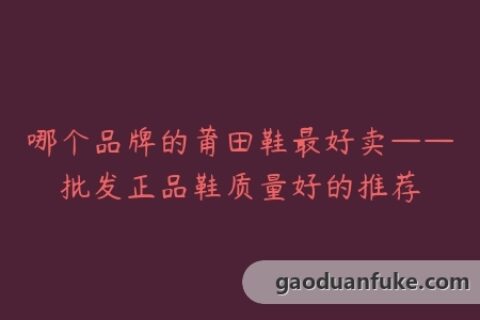 哪个品牌的莆田鞋最好卖——批发正品鞋质量好的推荐