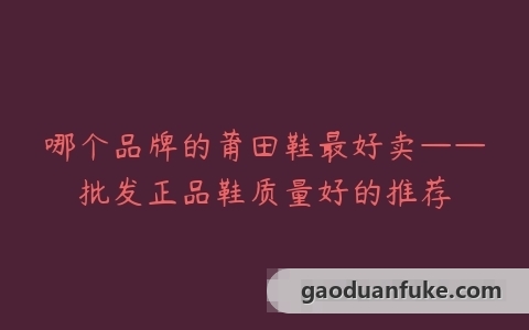 哪个品牌的莆田鞋最好卖——批发正品鞋质量好的推荐
