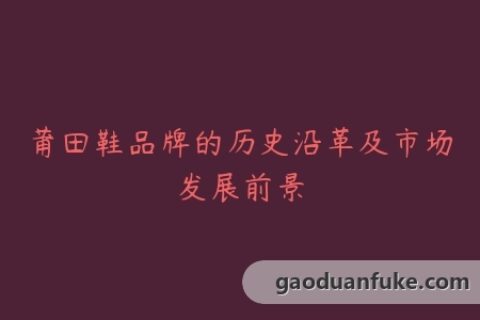莆田鞋品牌的历史沿革及市场发展前景