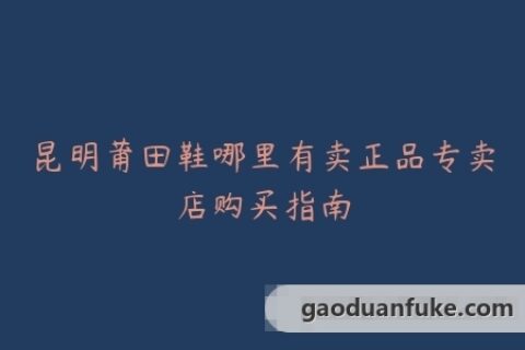 昆明莆田鞋哪里有卖正品专卖店购买指南