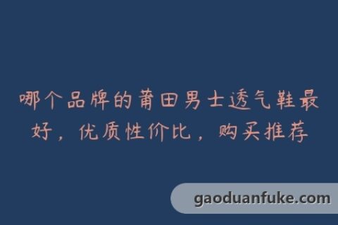 哪个品牌的莆田男士透气鞋最好，优质性价比，购买推荐
