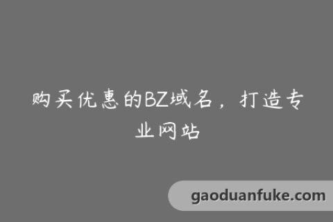 购买优惠的BZ域名，打造专业网站