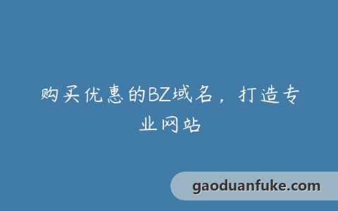 购买优惠的BZ域名，打造专业网站