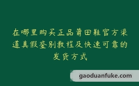 在哪里购买正品莆田鞋官方渠道真假鉴别教程及快速可靠的发货方式