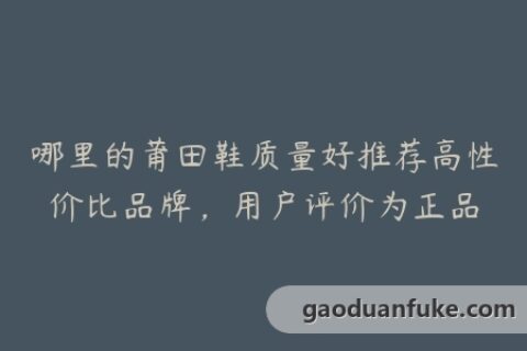 哪里的莆田鞋质量好推荐高性价比品牌，用户评价为正品