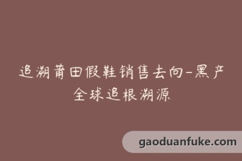 追溯莆田假鞋销售去向-黑产全球追根溯源