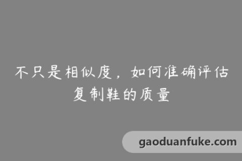 不只是相似度，如何准确评估复制鞋的质量