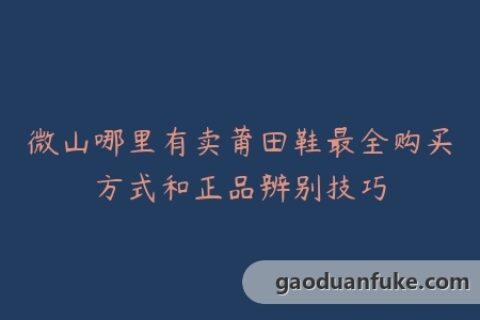 微山哪里有卖莆田鞋最全购买方式和正品辨别技巧