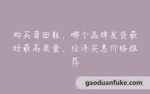 购买莆田鞋，哪个品牌发货最好最高质量，经济实惠价格推荐