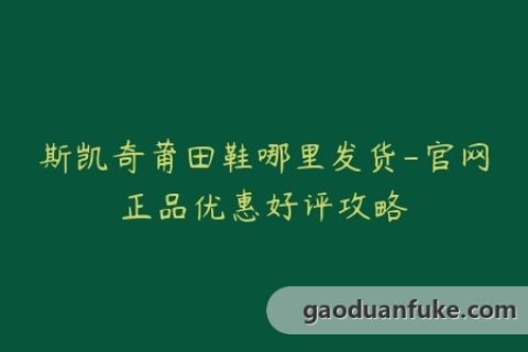 斯凯奇莆田鞋哪里发货-官网正品优惠好评攻略