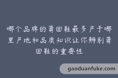 哪个品牌的莆田鞋最多产于哪里产地和品质知识让你辨别莆田鞋的重要性