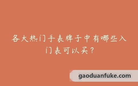 各大热门手表牌子中有哪些入门表可以买？