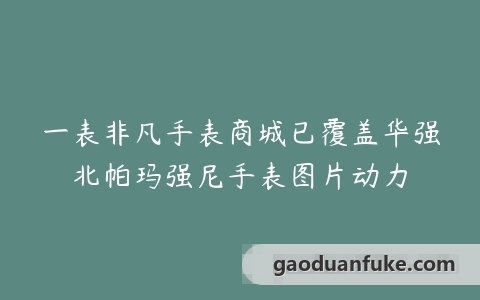 一表非凡手表商城已覆盖华强北帕玛强尼手表图片动力