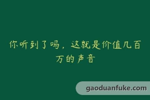 你听到了吗，这就是价值几百万的声音