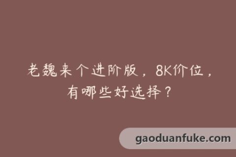 老魏来个进阶版，8K价位，有哪些好选择？