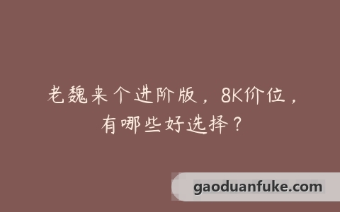 老魏来个进阶版，8K价位，有哪些好选择？