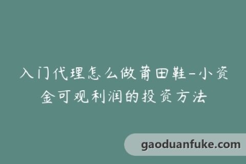 入门代理怎么做莆田鞋-小资金可观利润的投资方法