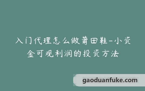 入门代理怎么做莆田鞋-小资金可观利润的投资方法