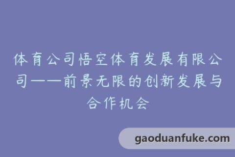 体育公司悟空体育发展有限公司——前景无限的创新发展与合作机会