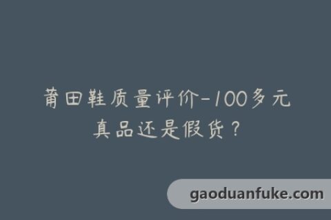 莆田鞋质量评价-100多元真品还是假货？