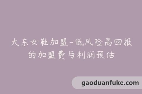 大东女鞋加盟-低风险高回报的加盟费与利润预估