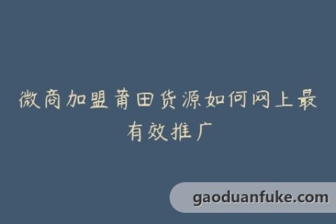微商加盟莆田货源如何网上最有效推广