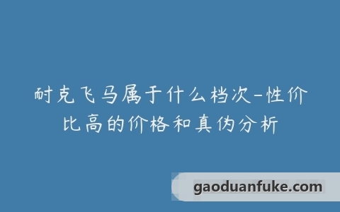 耐克飞马属于什么档次-性价比高的价格和真伪分析