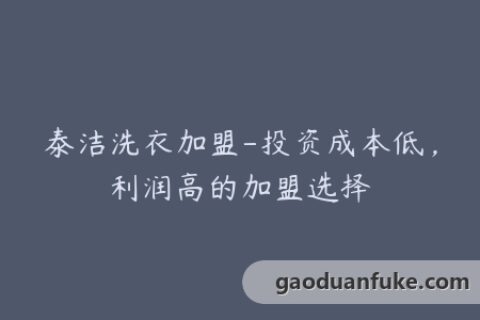 泰洁洗衣加盟-投资成本低，利润高的加盟选择