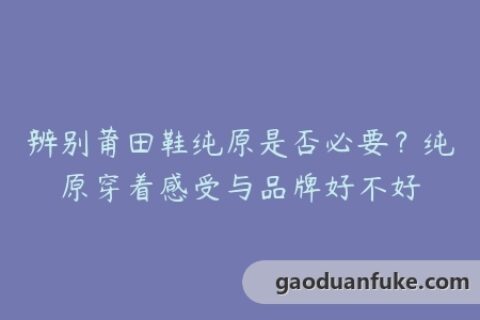 辨别莆田鞋纯原是否必要？纯原穿着感受与品牌好不好