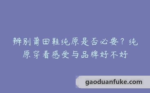 辨别莆田鞋纯原是否必要？纯原穿着感受与品牌好不好