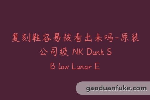 复刻鞋容易被看出来吗-原装公司级 NK Dunk SB low Lunar Eclipse月食