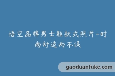 悟空品牌男士鞋款式照片-时尚舒适两不误