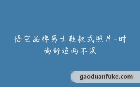 悟空品牌男士鞋款式照片-时尚舒适两不误