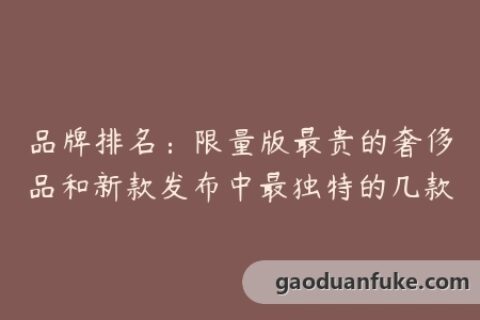 品牌排名：限量版最贵的奢侈品和新款发布中最独特的几款