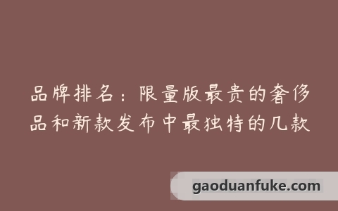 品牌排名：限量版最贵的奢侈品和新款发布中最独特的几款